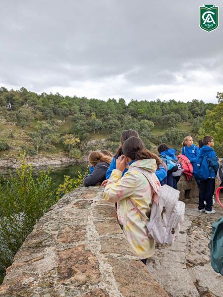 excursion-5-primaria-buitrago-7