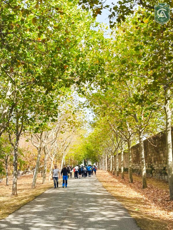 excursion-1-eso-escorial-25-13