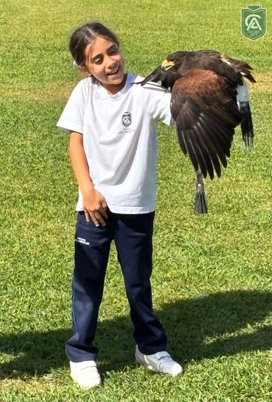excursion-safari-park-3-4-primaria-1-3