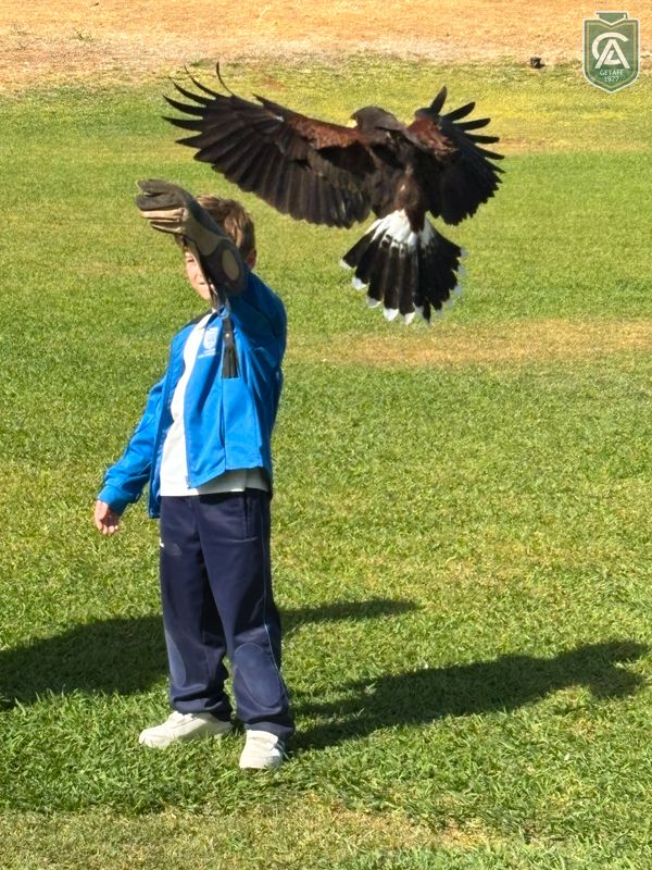 excursion-safari-park-3-4-primaria-1-5
