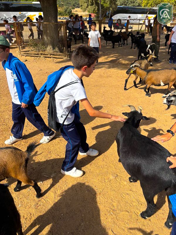 excursion-safari-park-3-4-primaria-10