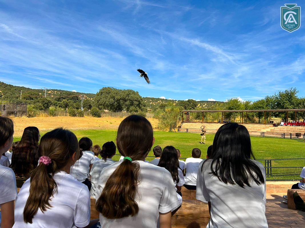 excursion-safari-park-3-4-primaria-3