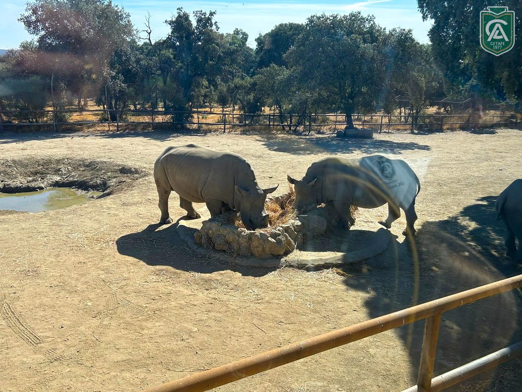 excursion-safari-park-3-4-primaria-4