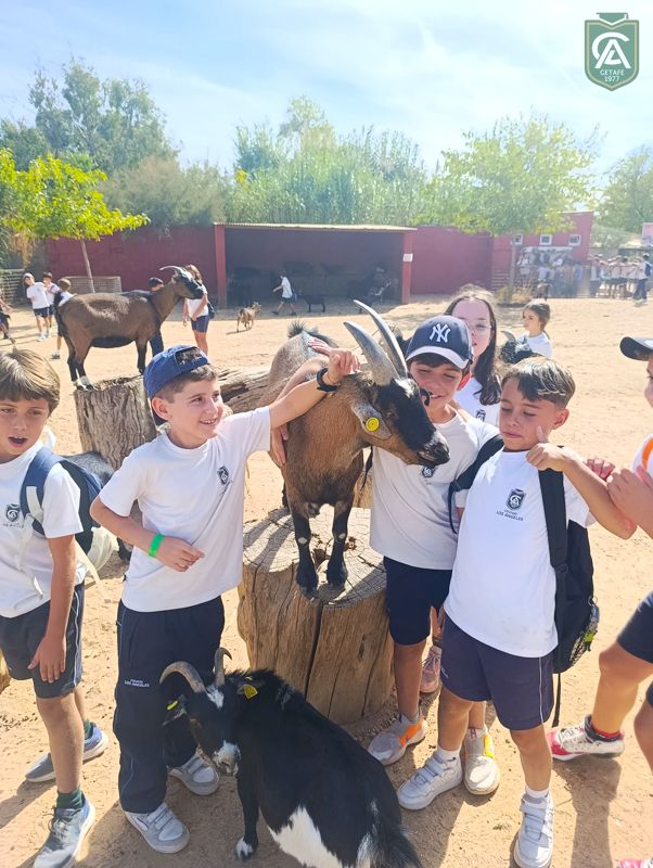 excursion-safari-park-3-4-primaria-5