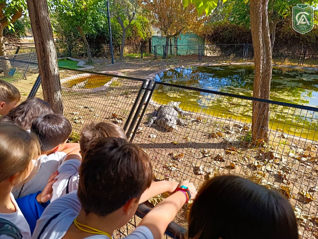 excursion-safari-park-3-4-primaria-6