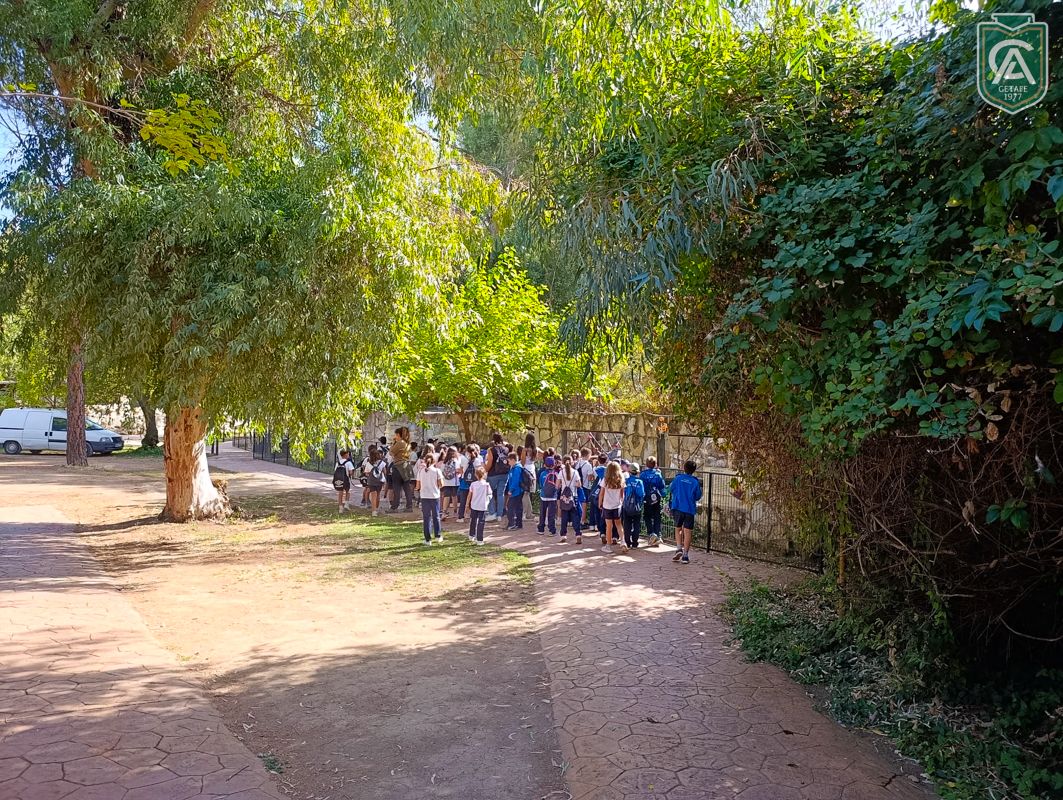 excursion-safari-park-3-4-primaria-7