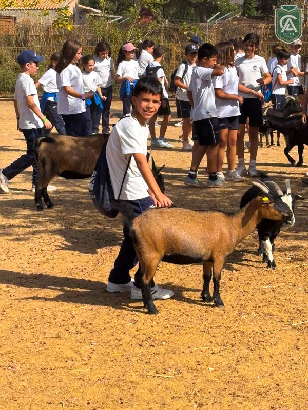 excursion-safari-park-3-4-primaria-9