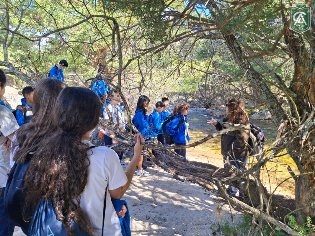 excursion-pedriza-1-eso-26-4