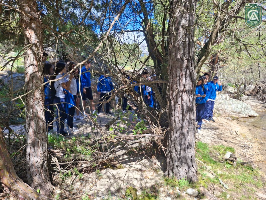 excursion-pedriza-1-eso-26-6