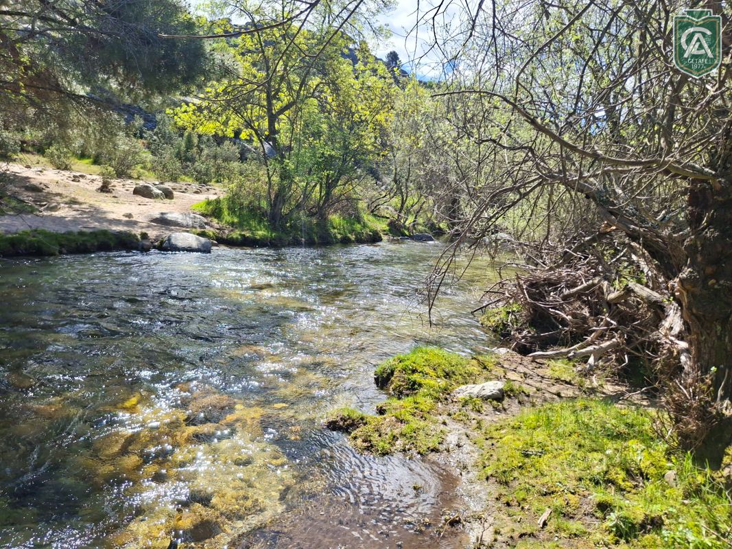 excursion-pedriza-1-eso-26-7