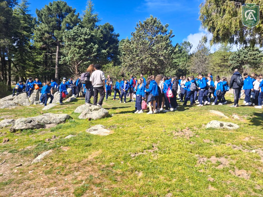 excursion-pedriza-1-eso-26-8