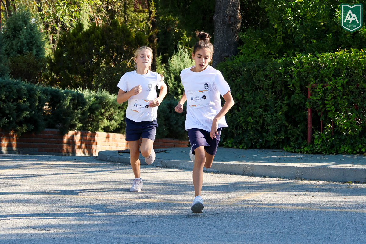 Cross-ADESO-2026-web-104