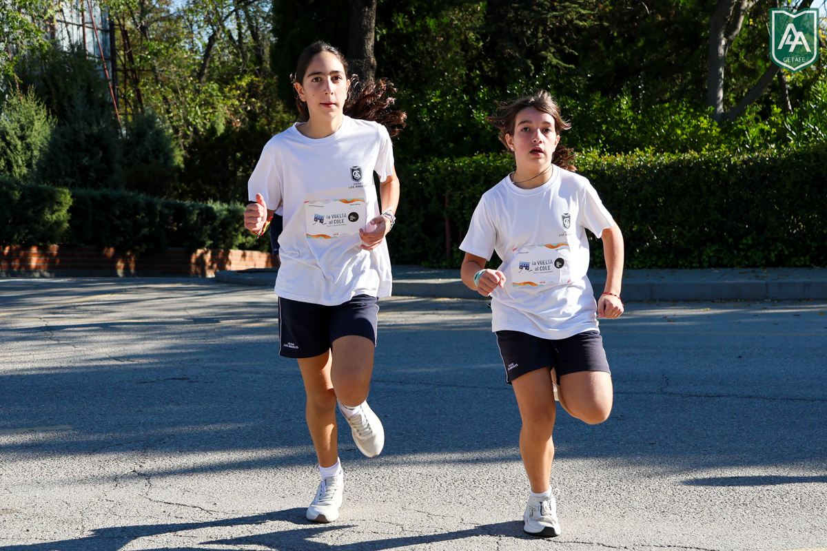 Cross-ADESO-2026-web-105