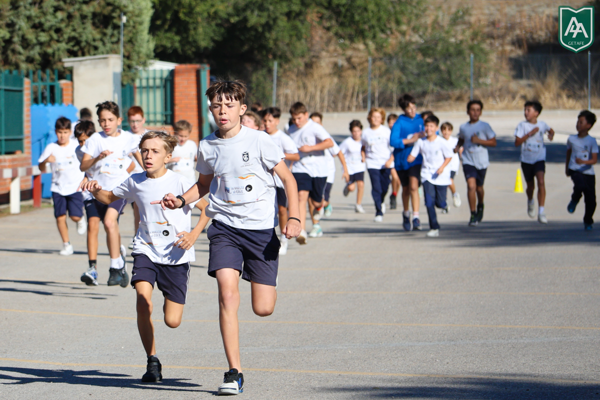 Cross-ADESO-2026-web-114