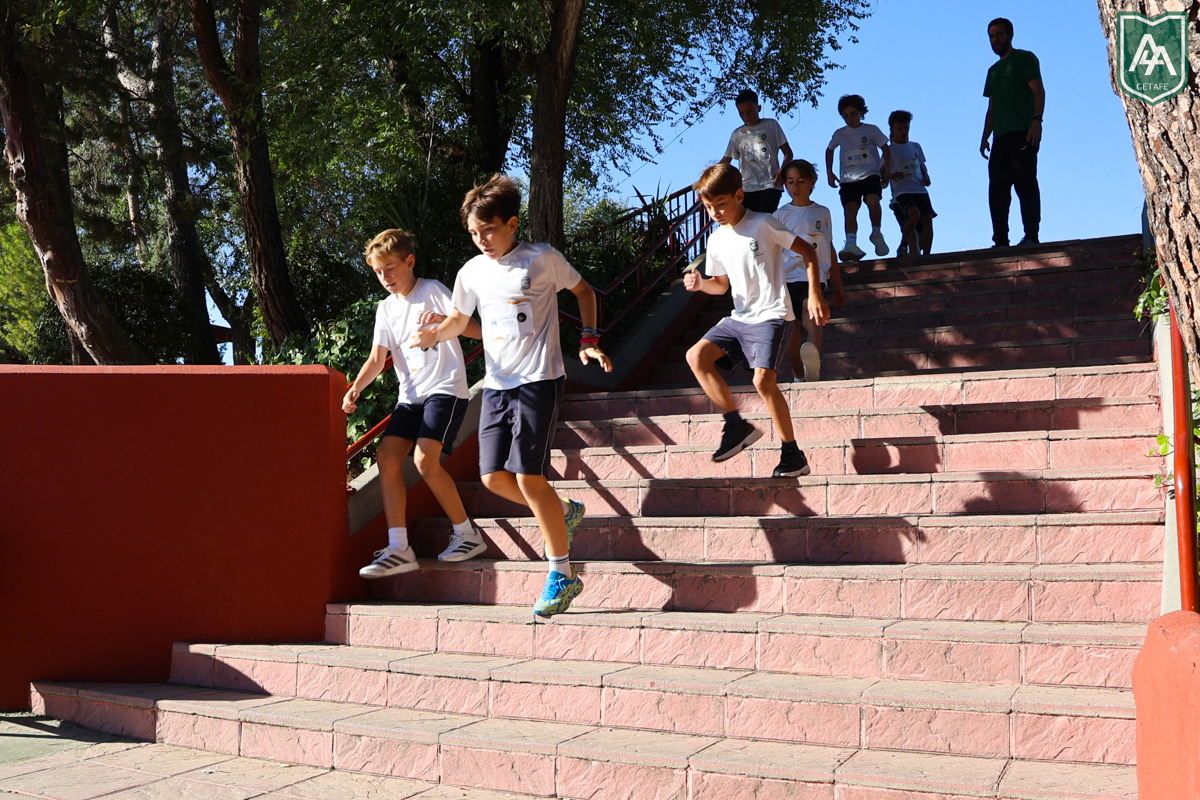 Cross-ADESO-2026-web-116