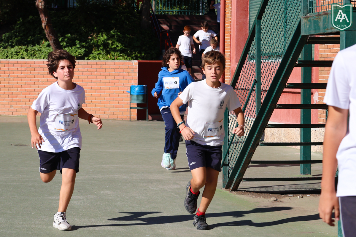 Cross-ADESO-2026-web-118