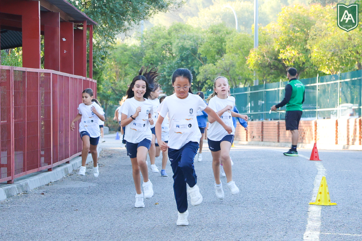Cross-ADESO-2026-web-12