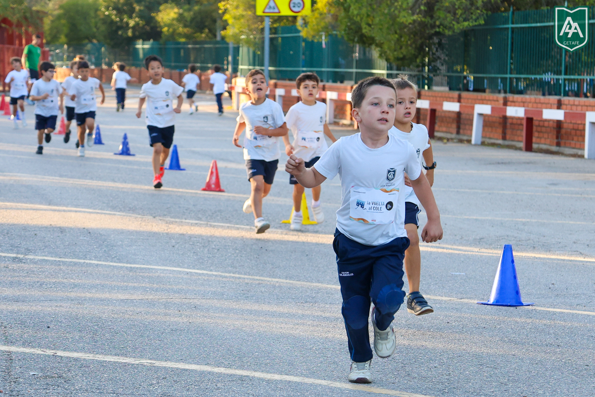 Cross-ADESO-2026-web-131
