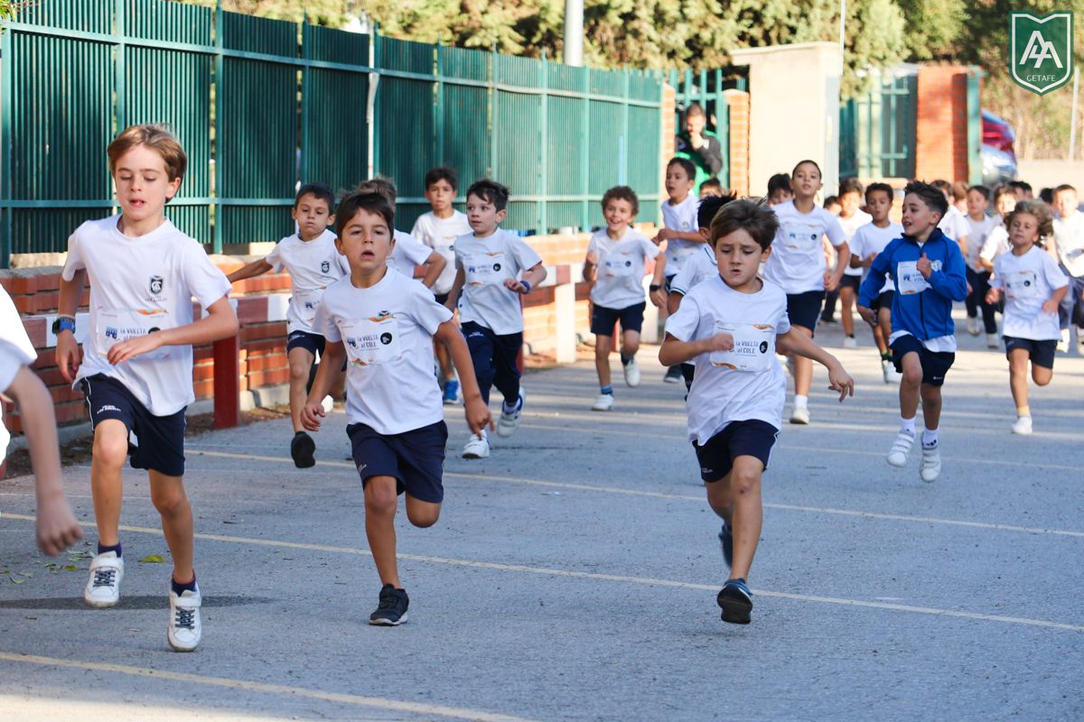 Cross-ADESO-2026-web-153