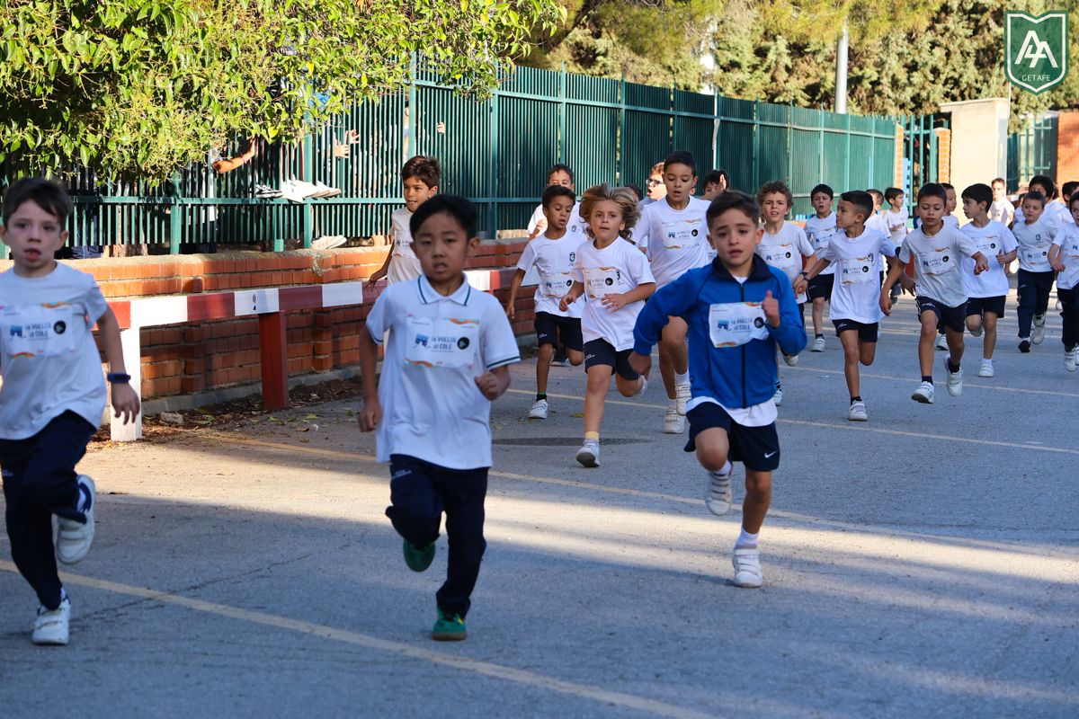 Cross-ADESO-2026-web-154