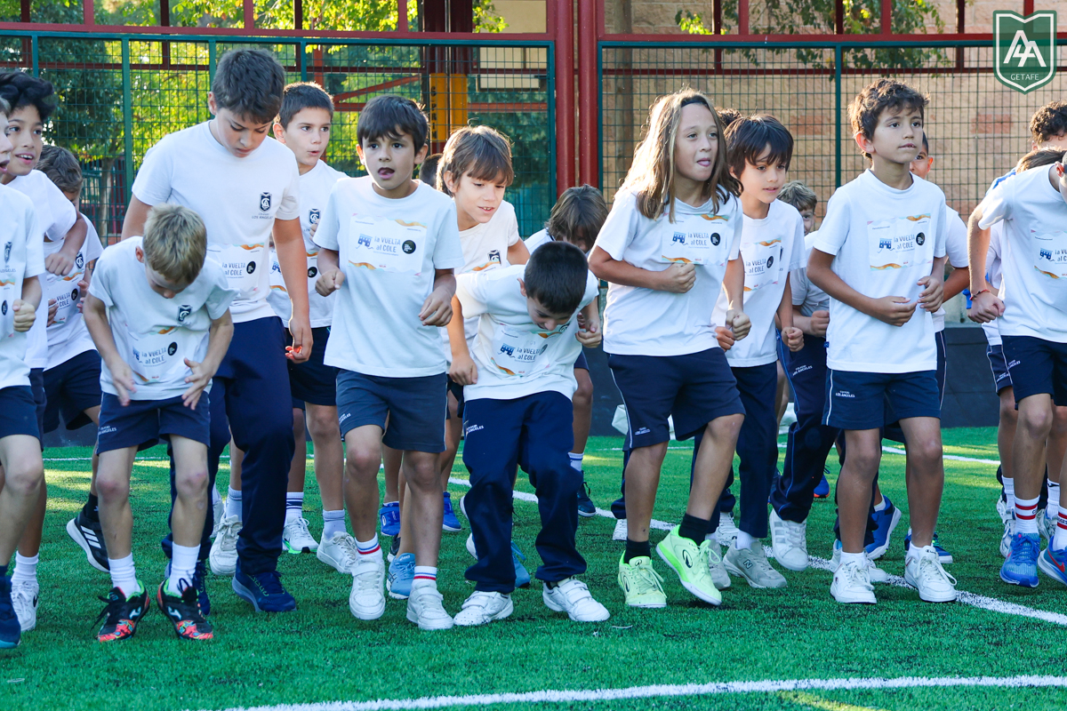 Cross-ADESO-2026-web-18