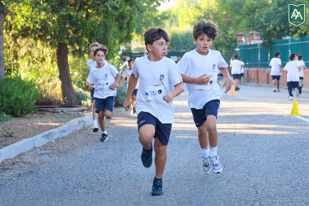 Cross-ADESO-2026-web-23