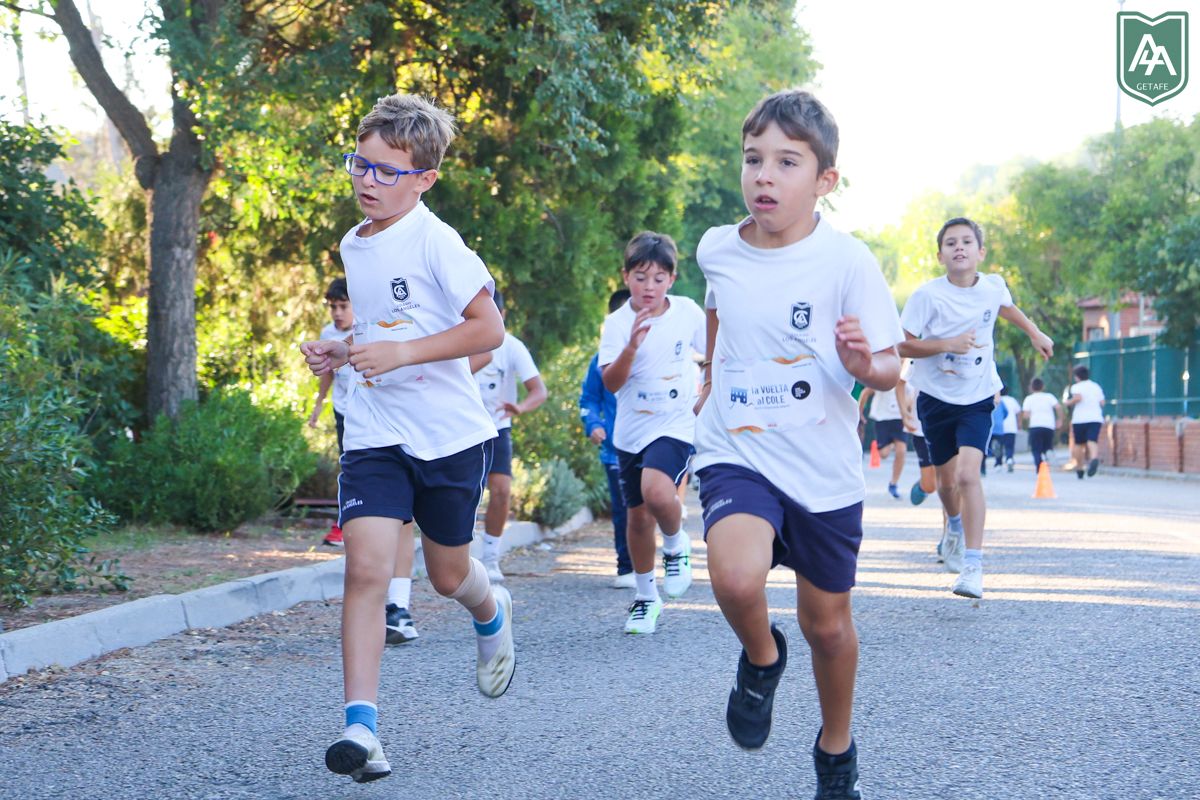 Cross-ADESO-2026-web-25