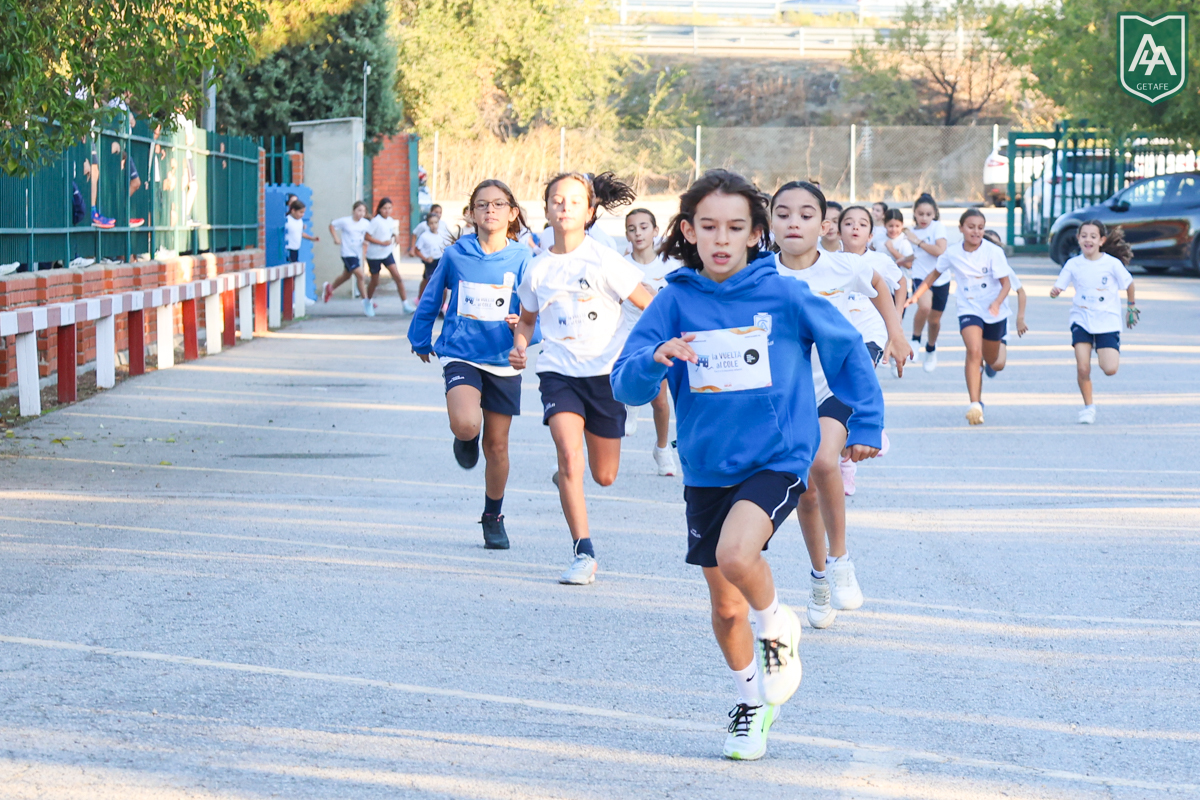 Cross-ADESO-2026-web-4