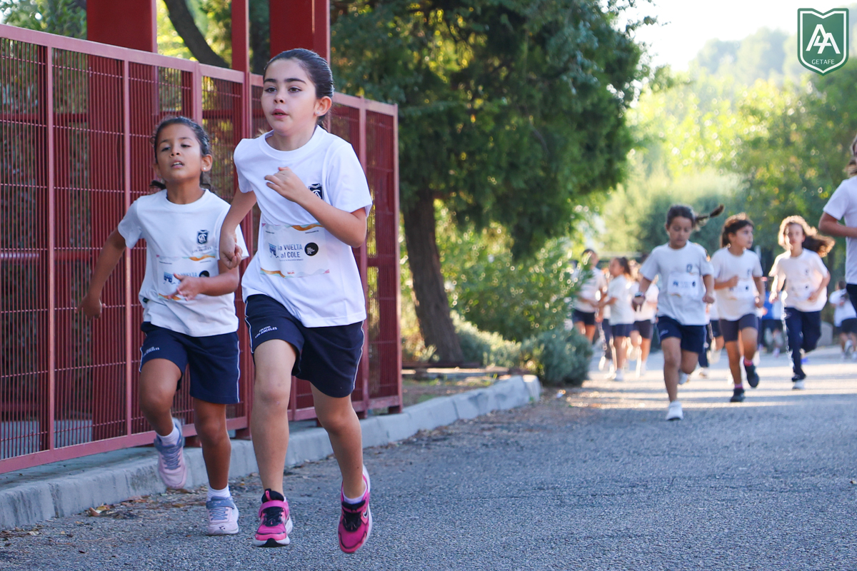 Cross-ADESO-2026-web-42