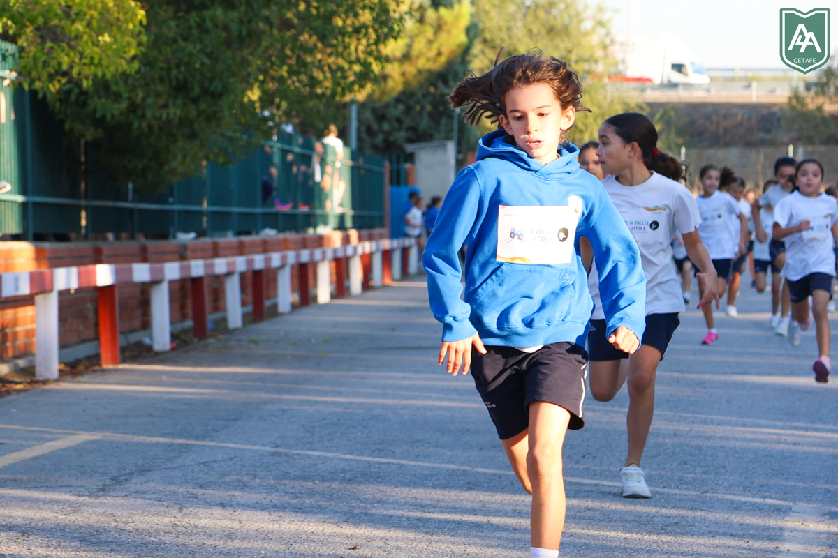 Cross-ADESO-2026-web-5