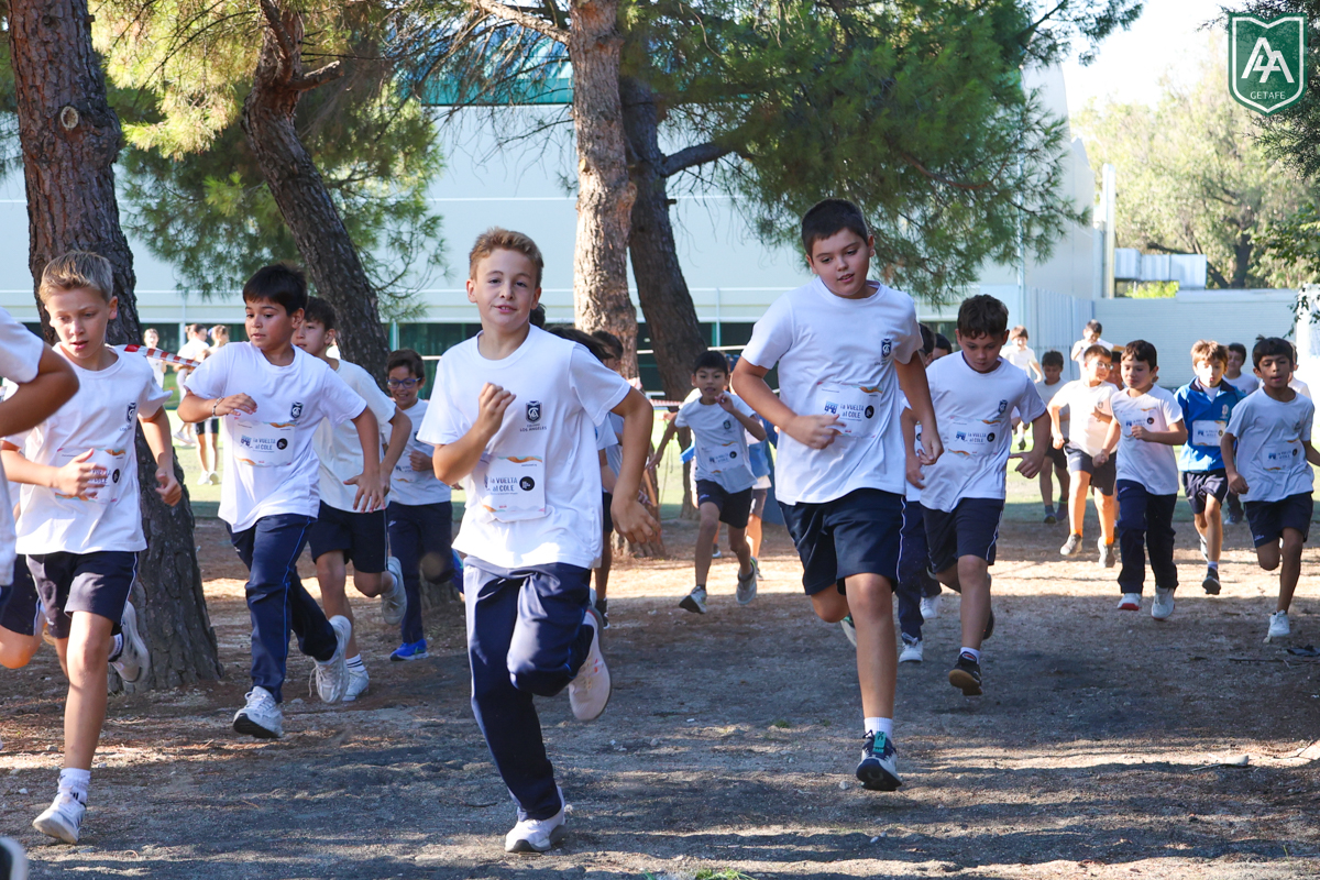 Cross-ADESO-2026-web-62