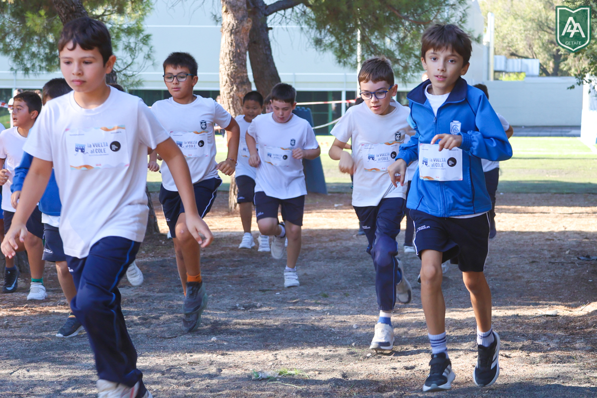 Cross-ADESO-2026-web-64