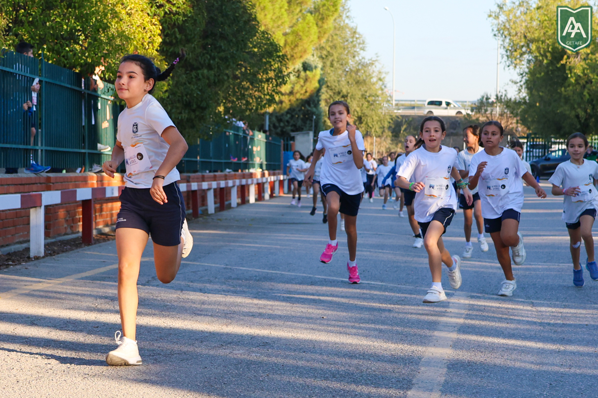 Cross-ADESO-2026-web-7