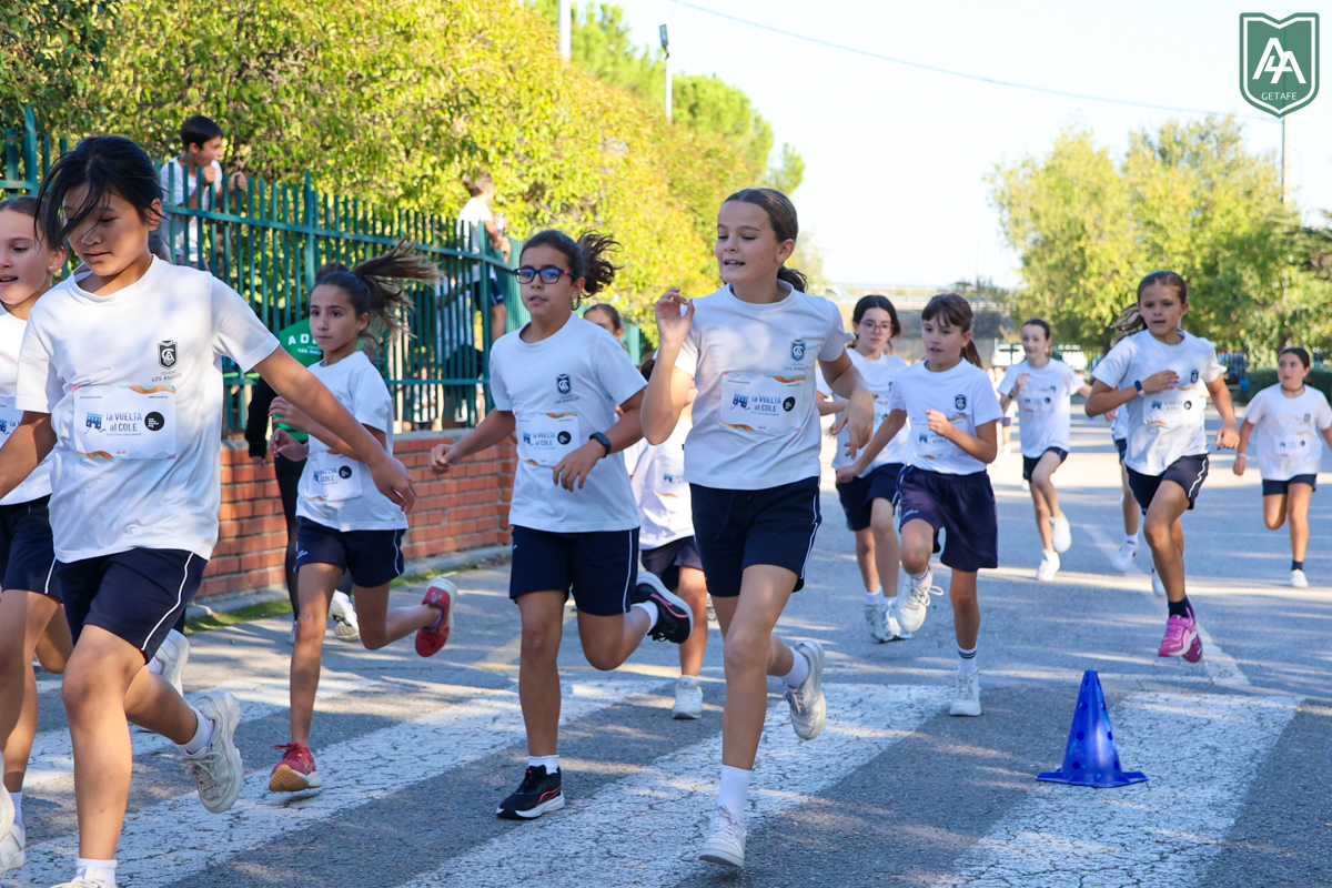Cross-ADESO-2026-web-83