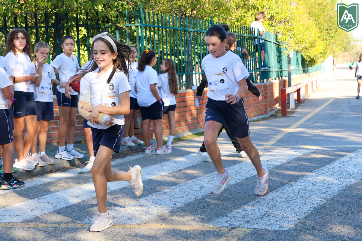 Cross-ADESO-2026-web-84