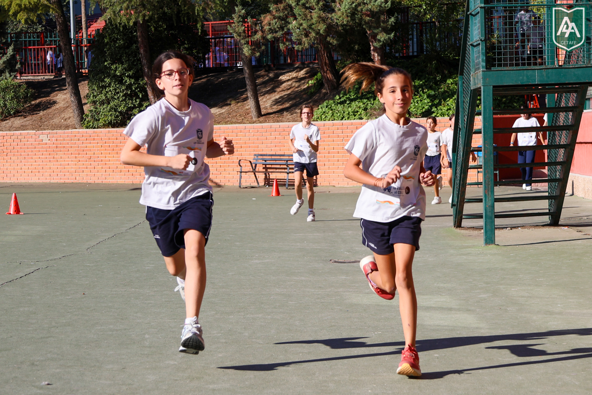 Cross-ADESO-2026-web-86