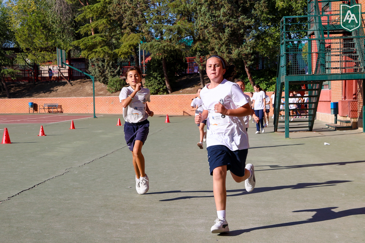 Cross-ADESO-2026-web-88
