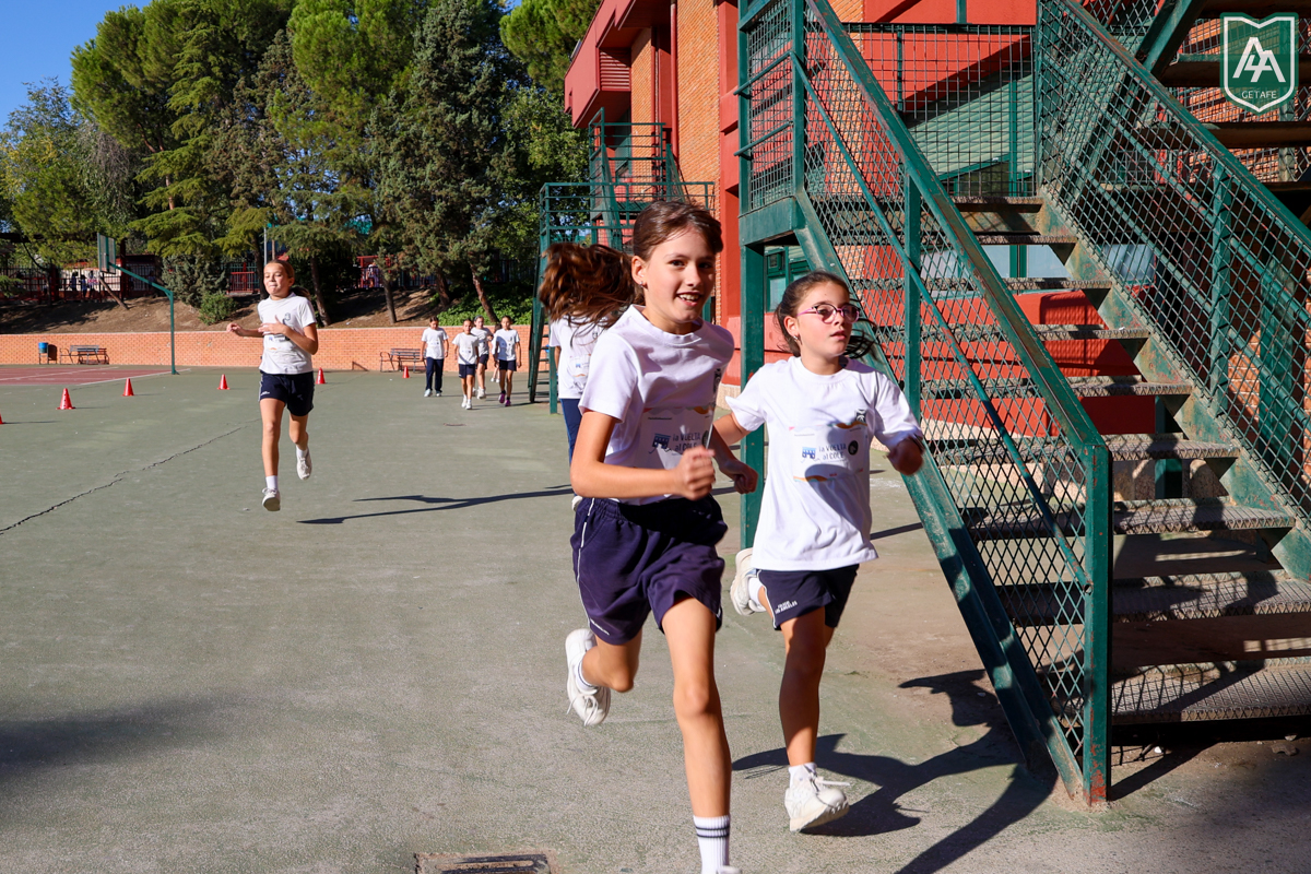 Cross-ADESO-2026-web-89