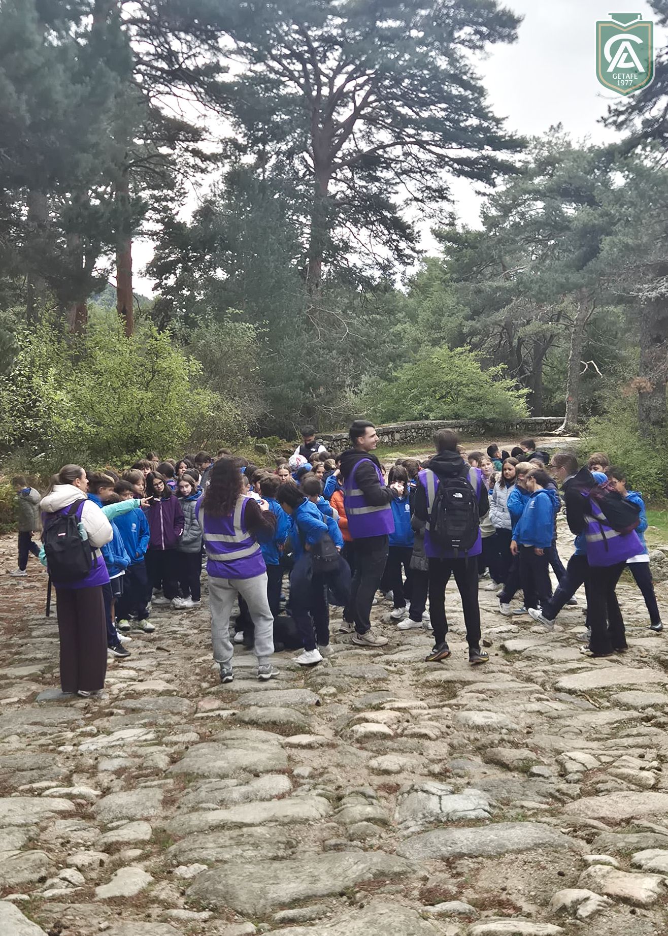 cercedilla-5-primaria-11
