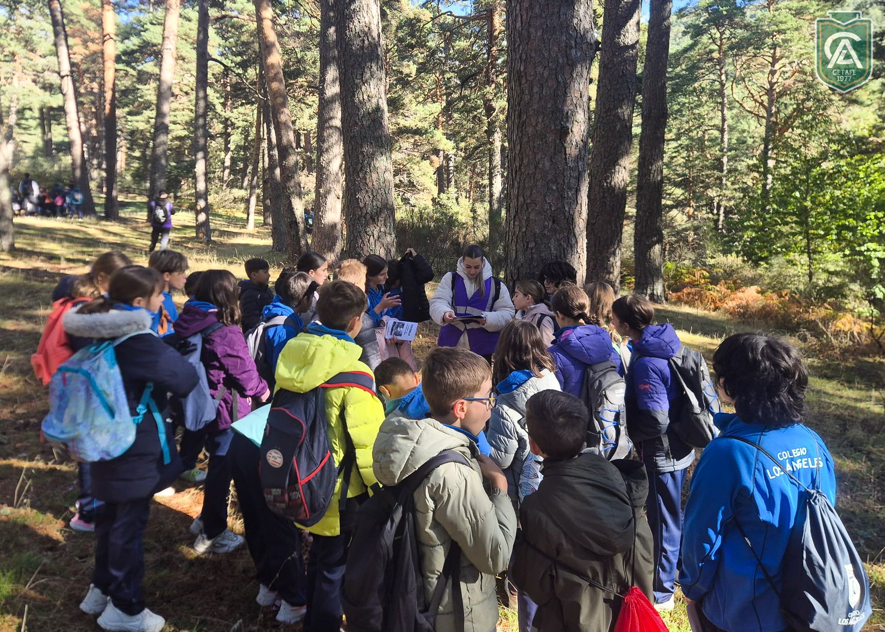cercedilla-5-primaria-15