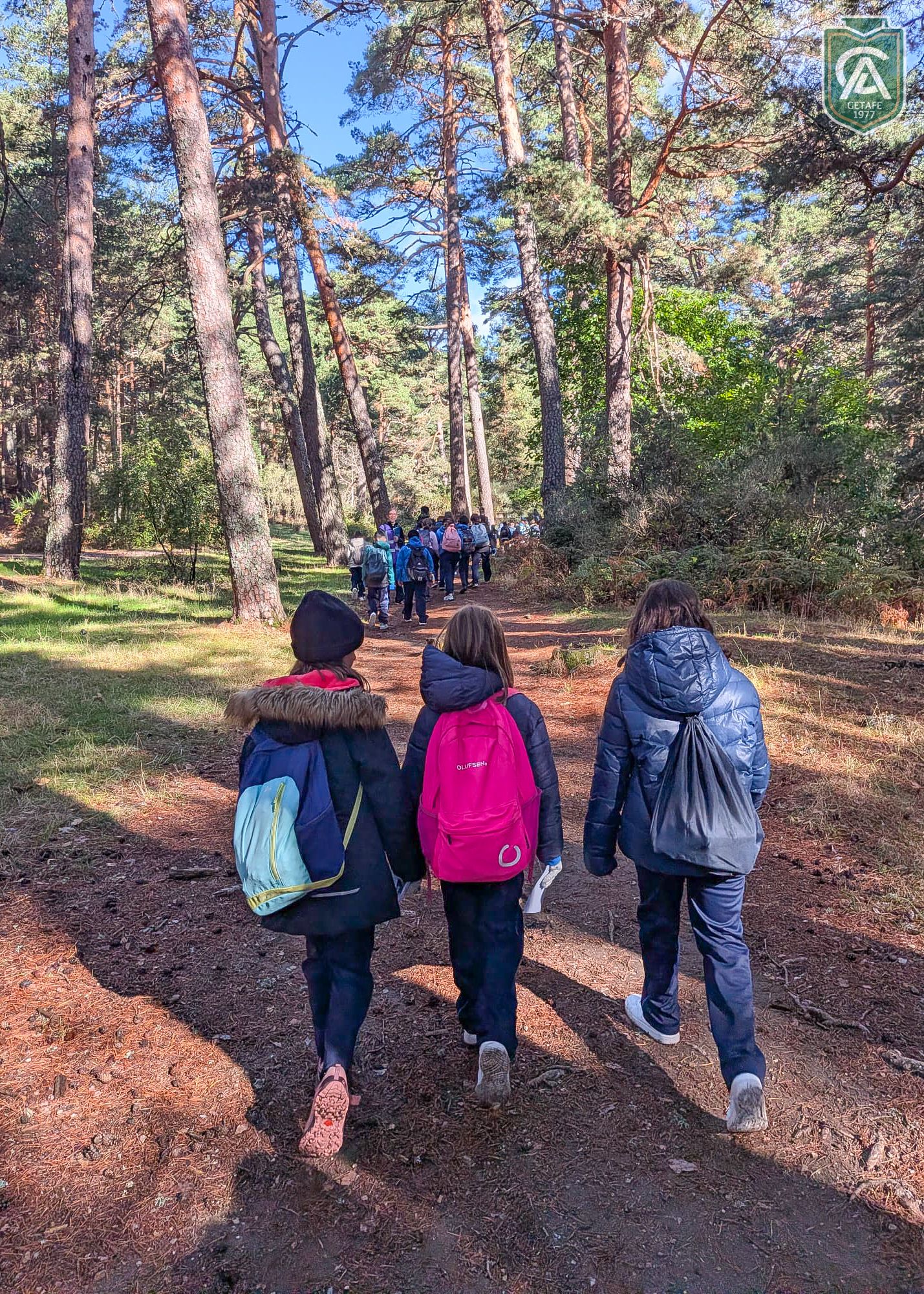 cercedilla-5-primaria-4