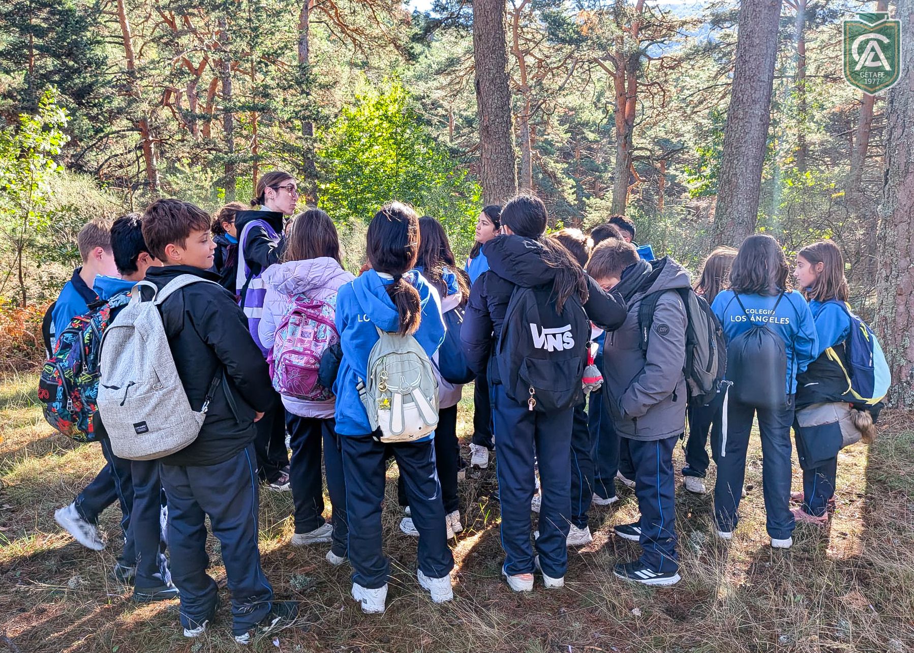 cercedilla-5-primaria-6