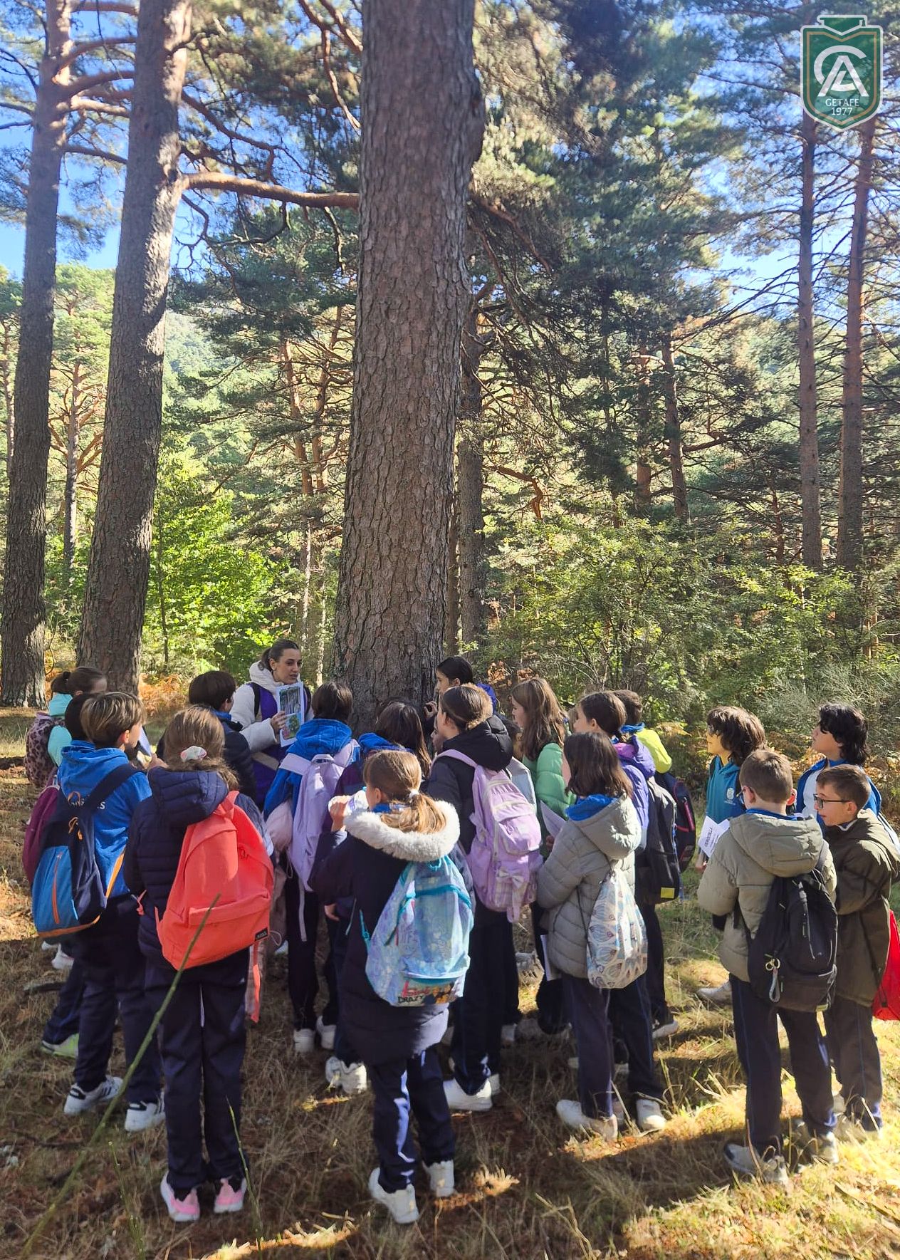cercedilla-5-primaria-8